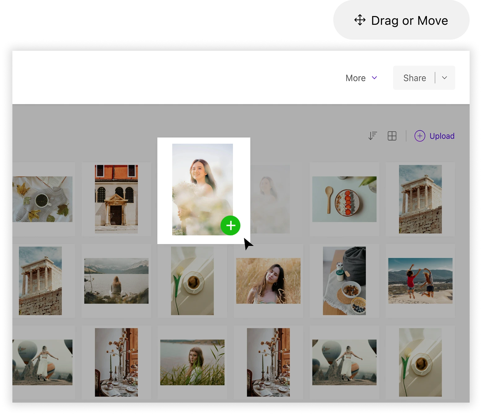 ENHANCED gallery preview