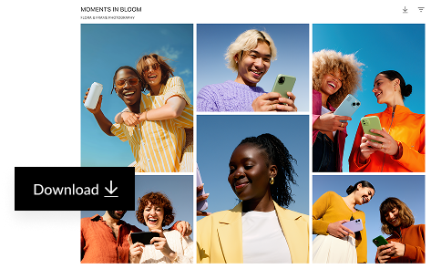 DOWNLOAD gallery preview